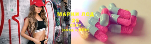 прущие крисы Кулебаки