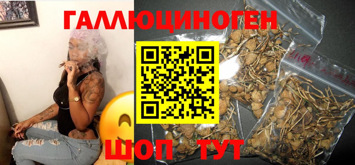 Кудымкар  Псилоцибиновые грибы GOLDEN TEACHER  Вход с VPN  Псилоцибиновые грибы GOLDEN TEACHER 